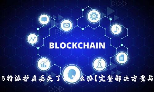 如果B特派护盾丢失了该怎么办？完整解决方案与指导
