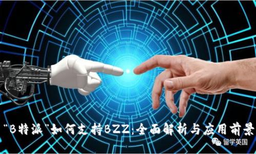 “B特派”如何支持BZZ：全面解析与应用前景
