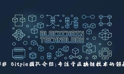 ### Bitpie团队介绍:专注于区块链技术的领航者
