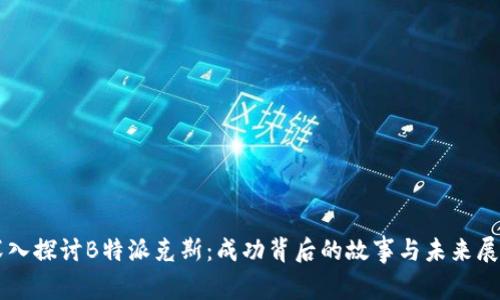 深入探讨B特派克斯：成功背后的故事与未来展望
