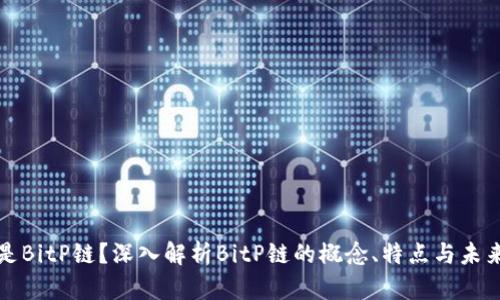 什么是BitP链？深入解析BitP链的概念、特点与未来发展