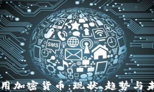 
美国使用加密货币：现状、趋势与未来展望