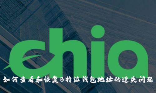 如何查看和恢复B特派钱包地址的遗失问题