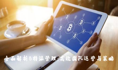 全面解析B特派管理：高效团队运营与策略
