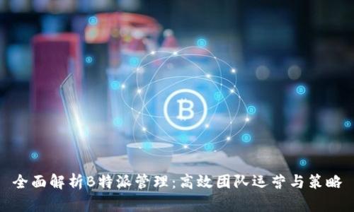 全面解析B特派管理：高效团队运营与策略