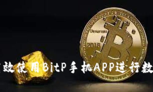 如何安全高效使用BitP手机APP进行数字货币交易