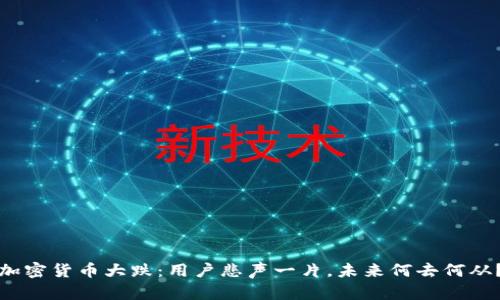 加密货币大跌：用户悲声一片，未来何去何从？