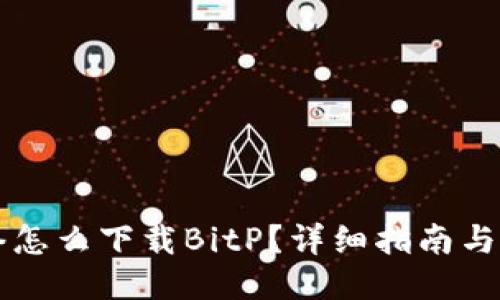 国内网络怎么下载BitP？详细指南与最新信息