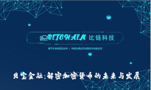 贝宝金融：解密加密货币的未来与发展
