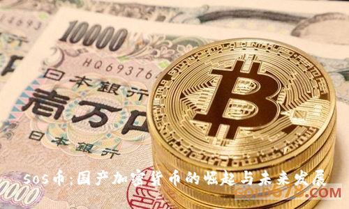 sos币：国产加密货币的崛起与未来发展