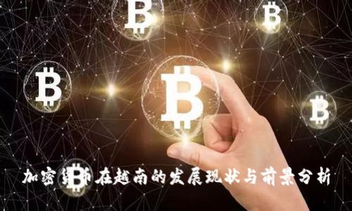 加密货币在越南的发展现状与前景分析