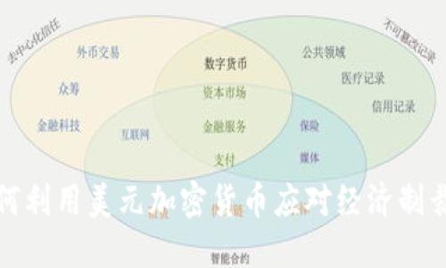 伊朗如何利用美元加密货币应对经济制裁的挑战