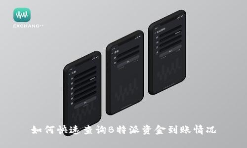 如何快速查询B特派资金到账情况