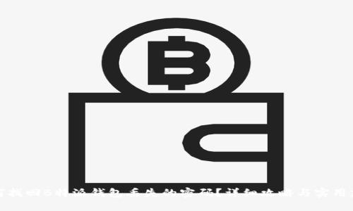 如何找回B特派钱包丢失的密码？详细攻略与实用建议