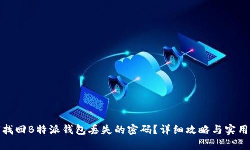 如何找回B特派钱包丢失的密码？详细攻略与实用建议