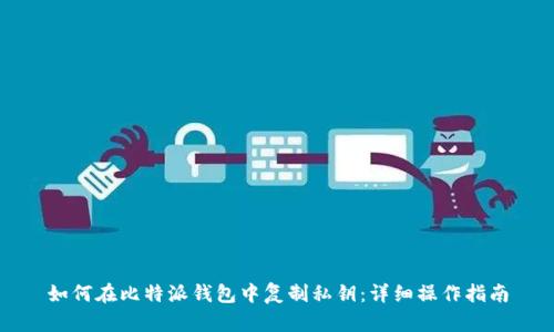 如何在比特派钱包中复制私钥：详细操作指南
