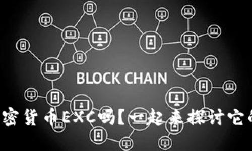 你知道加密货币EXC吗？一起来探讨它的未来吧！