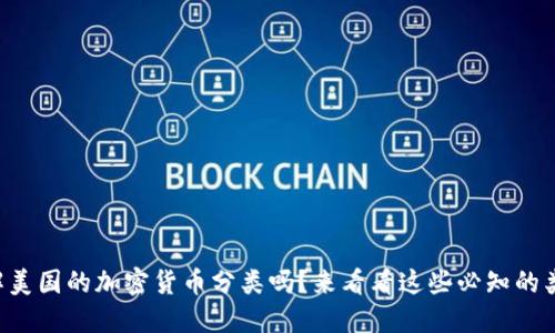 想了解美国的加密货币分类吗？来看看这些必知的类型吧！