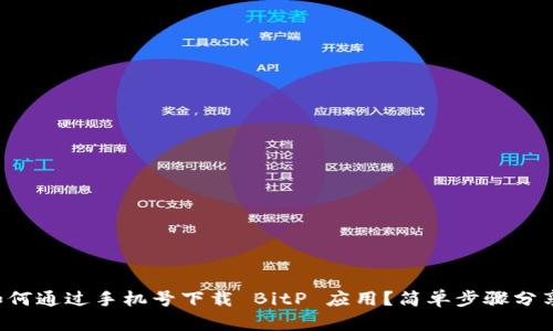 如何通过手机号下载 BitP 应用？简单步骤分享！