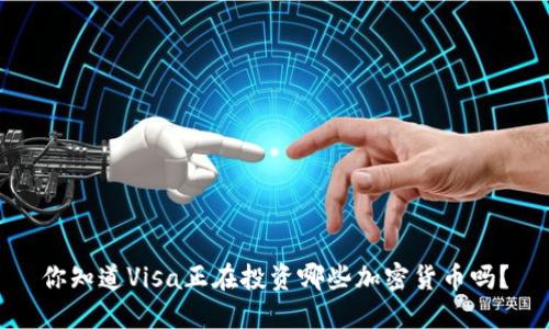 你知道Visa正在投资哪些加密货币吗？
