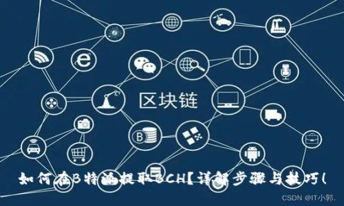 如何在B特派提取BCH？详解步骤与技巧！