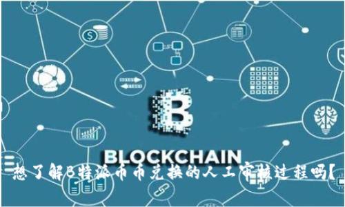 想了解B特派币币兑换的人工审核过程吗？