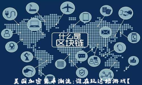 
美国加密货币潮流：谁在玩这场游戏？