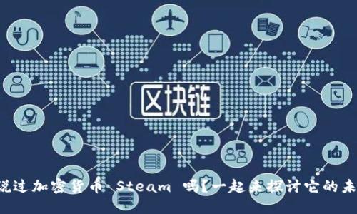你听说过加密货币 Steam 吗？一起来探讨它的未来吧！