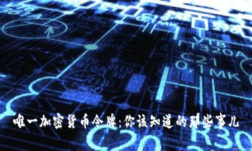 唯一加密货币令牌：你该知道的那些事儿