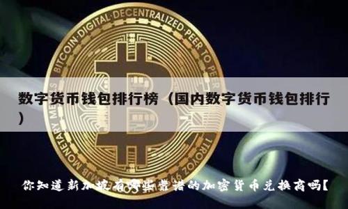 你知道新加坡有哪些靠谱的加密货币兑换商吗？