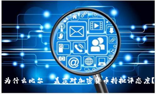 为什么比尔·盖茨对加密货币持批评态度？