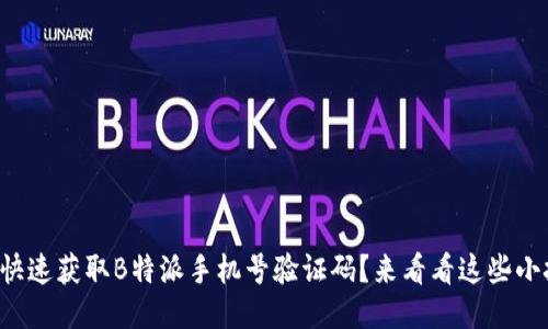 如何快速获取B特派手机号验证码？来看看这些小技巧！