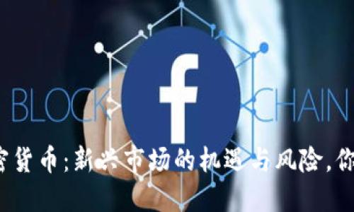 挑战美国加密货币：新兴市场的机遇与风险，你准备好了吗？