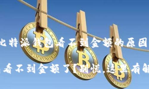 很烦恼吗？比特派钱包看不到金额的原因及解决方法

比特派钱包看不到金额了？别慌，这里有解决方法！