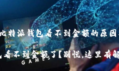 很烦恼吗？比特派钱包看不到金额的原因及解决方法

比特派钱包看不到金额了？别慌，这里有解决方法！