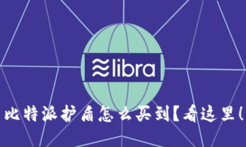 比特派护盾怎么买到？看这里！