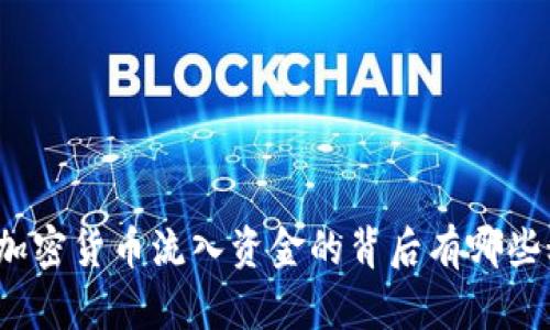 你知道加密货币流入资金的背后有哪些秘密吗？