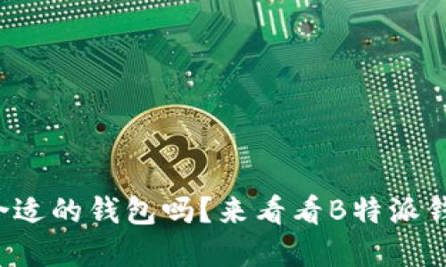 你知道怎么选择合适的钱包吗？来看看B特派钱包的独特之处吧！