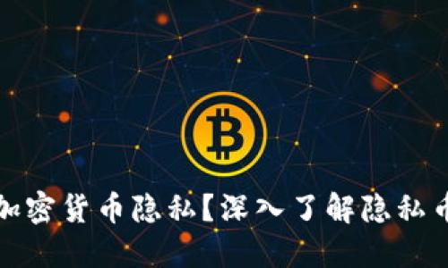 如何保护您的加密货币隐私？深入了解隐私币及其工作原理