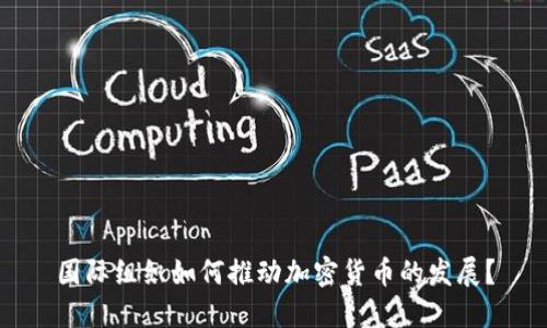 国际组织如何推动加密货币的发展？