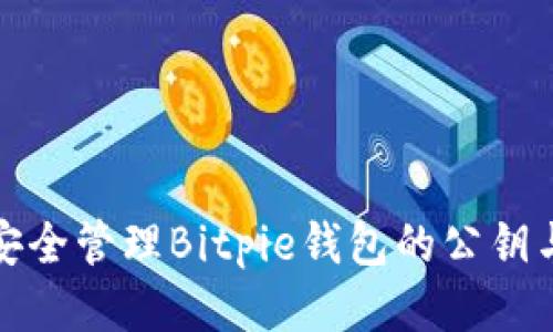 如何安全管理Bitpie钱包的公钥与私钥