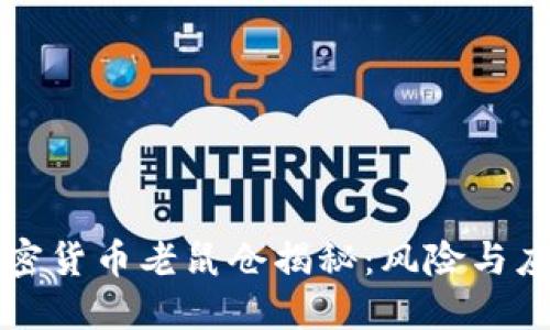 西藏加密货币老鼠仓揭秘：风险与应对策略