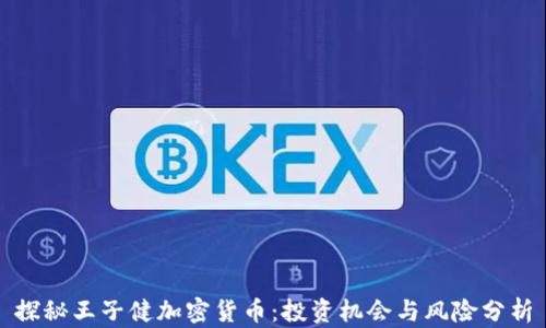 
探秘王子健加密货币：投资机会与风险分析