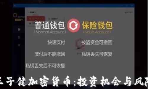 
探秘王子健加密货币：投资机会与风险分析