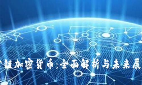 公链加密货币：全面解析与未来展望