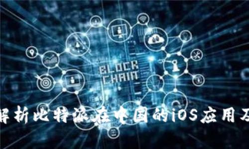 bianqi全面解析比特派在中国的iOS应用及其使用技巧