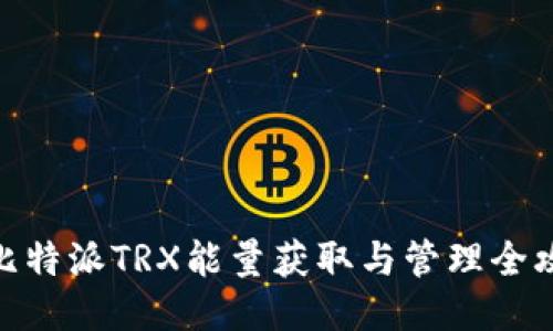 : 比特派TRX能量获取与管理全攻略