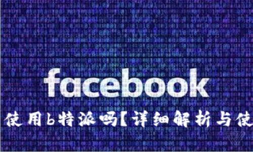 国内能使用b特派吗？详细解析与使用指南