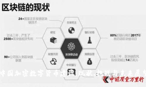 中国加密数字货币建设：现状、挑战与未来展望